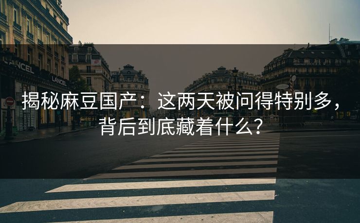 揭秘麻豆国产：这两天被问得特别多，背后到底藏着什么？
