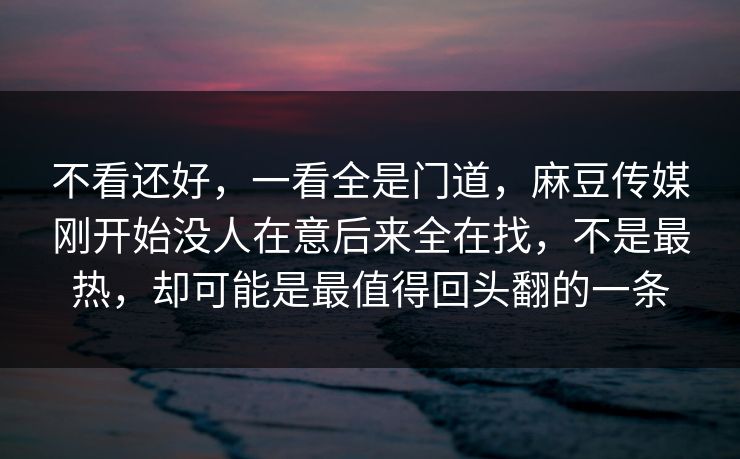 不看还好，一看全是门道，麻豆传媒刚开始没人在意后来全在找，不是最热，却可能是最值得回头翻的一条